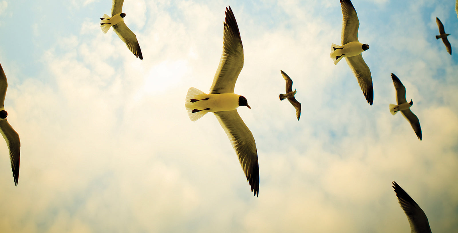 Watch: The Grammys 6 Years Ago Today